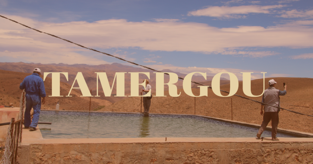 Image dans un carrousel des villes ici qui décrit "Tamergou"