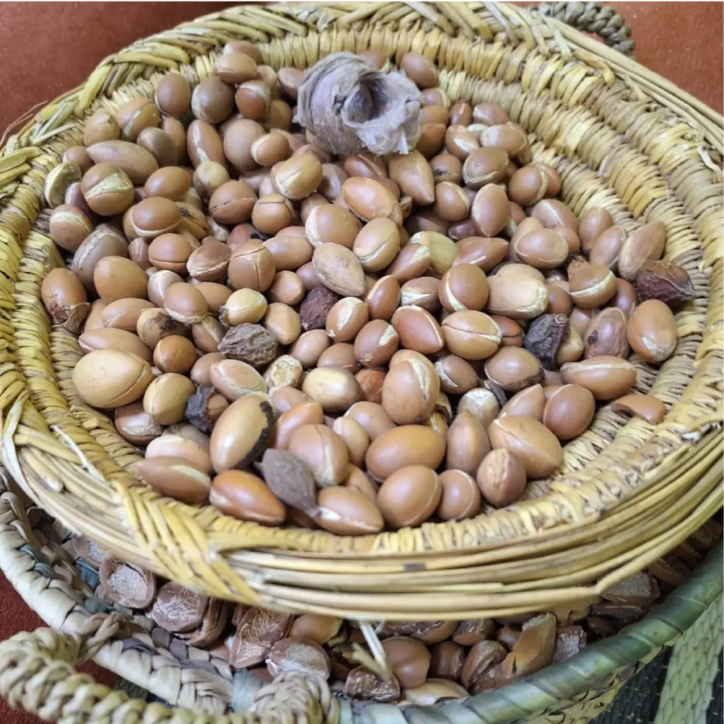 Photo D'argan dans un panier pour présenter les richesses de Taliouine